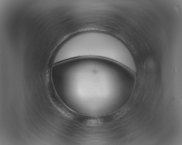 X0000068300160200604211020