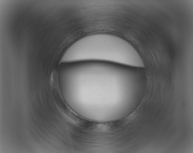 X0000068300166200604211020