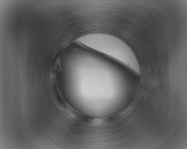 X0000068300176200604211020