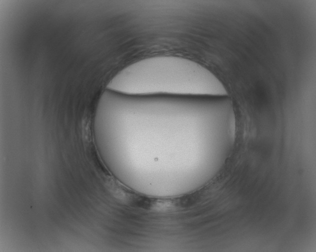 X0000068300177200604211020