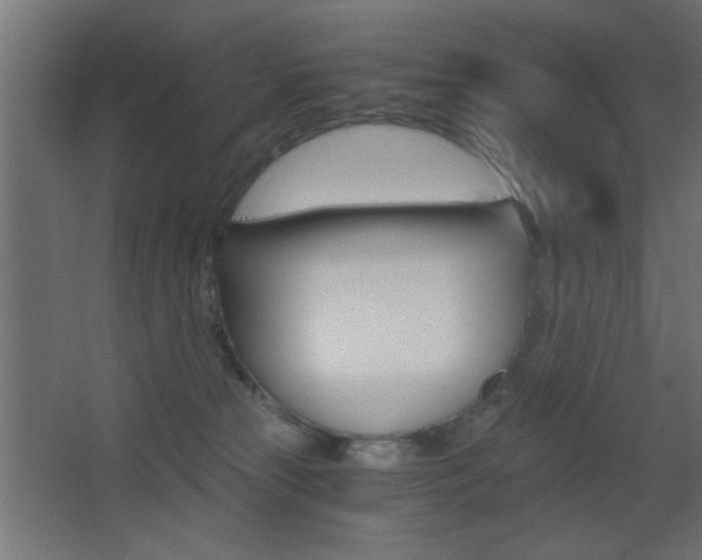 X0000068300181200604211020