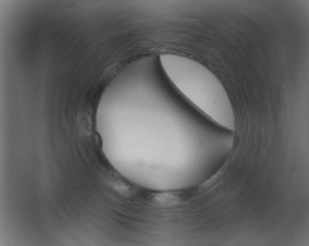X0000068300183200604211020