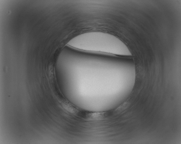 X0000068300184200604211020