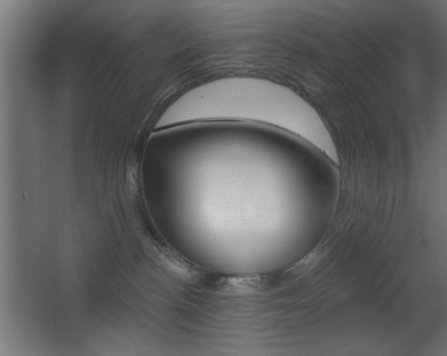 X0000068300188200604211020