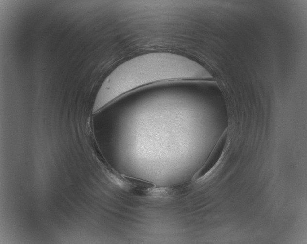 X0000068300192200604211020