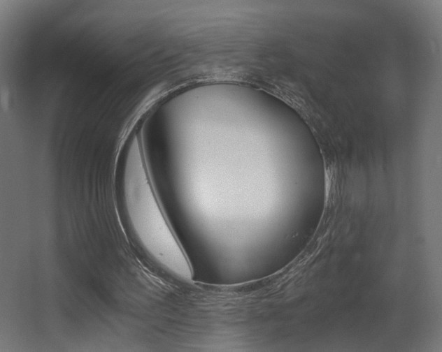 X0000068300195200604211019