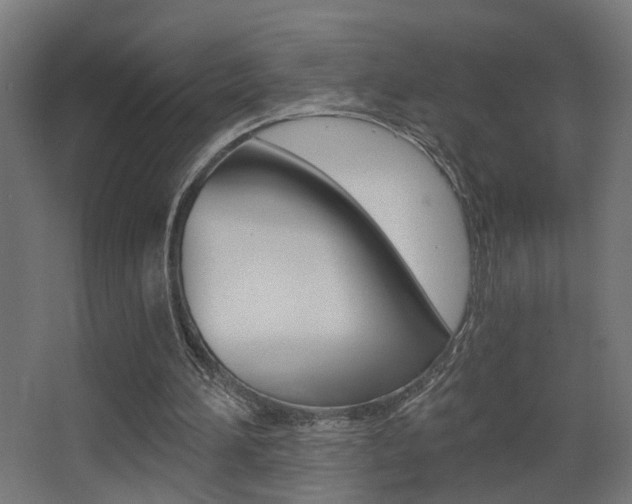 X0000068300196200604211019