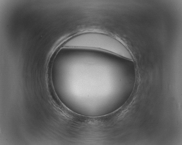 X0000068300199200604211019