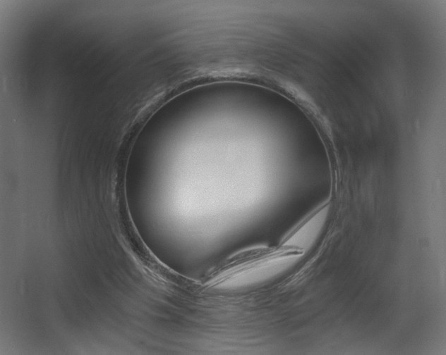 X0000068300201200604211019