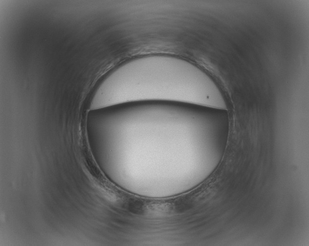 X0000068300202200604211019