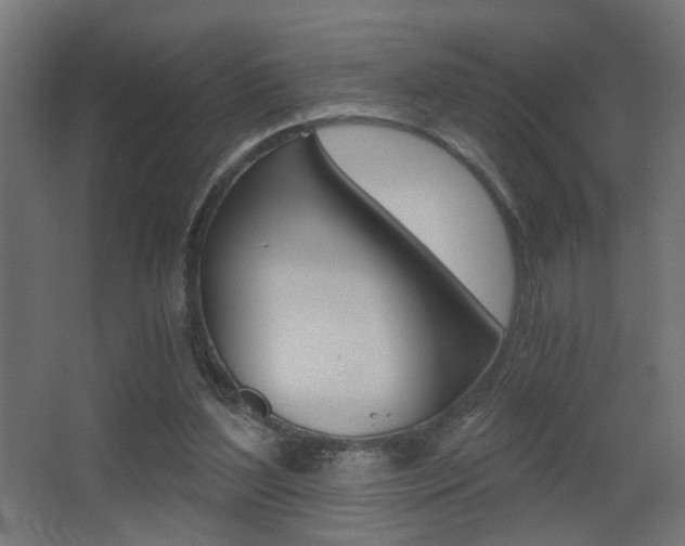 X0000068300204200604211019