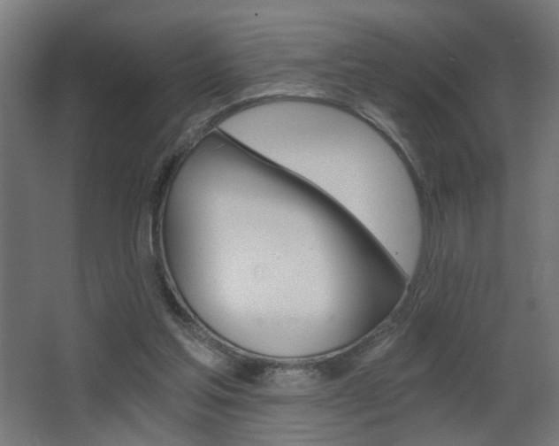 X0000068300205200604211019