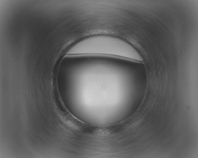 X0000068300207200604211019