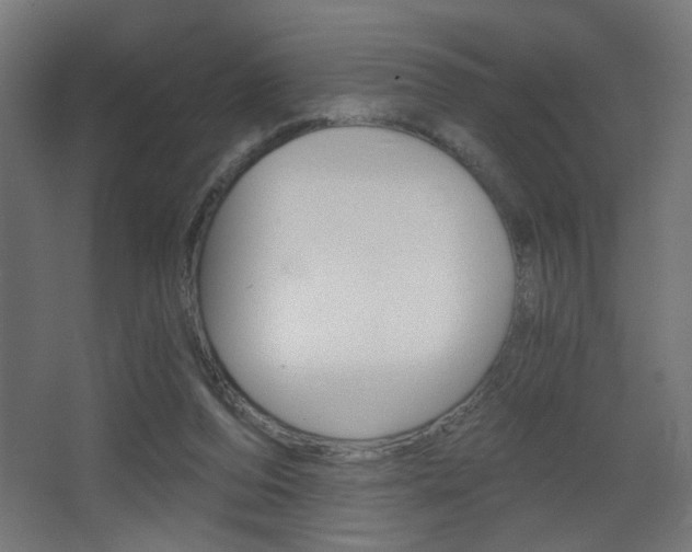 X0000068300208200604211019