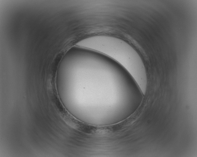 X0000068300209200604211019