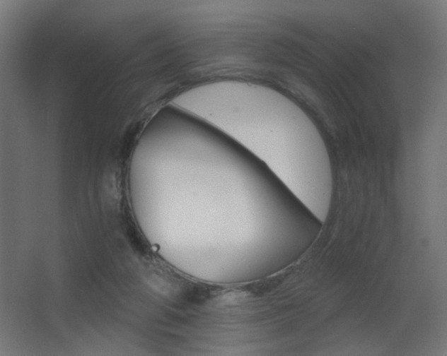 X0000068300210200604211019