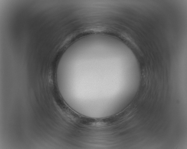 X0000068300212200604211019