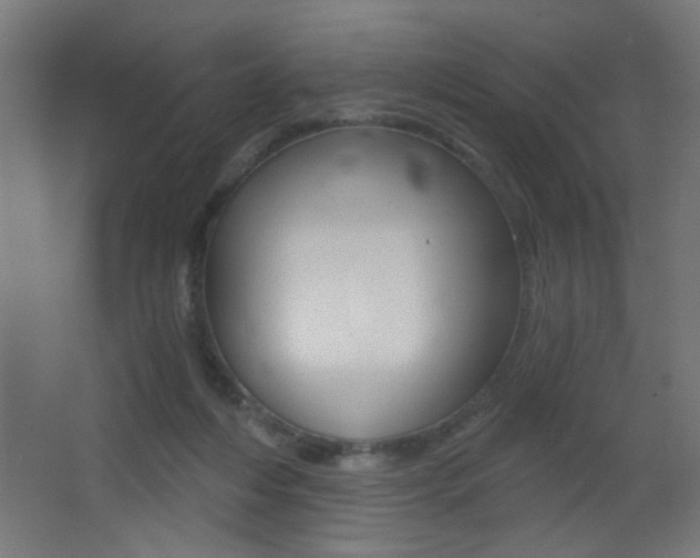X0000068300216200604211019