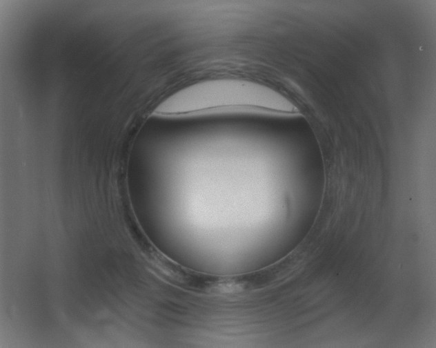 X0000068300217200604211019