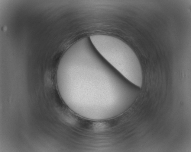 X0000068300218200604211019