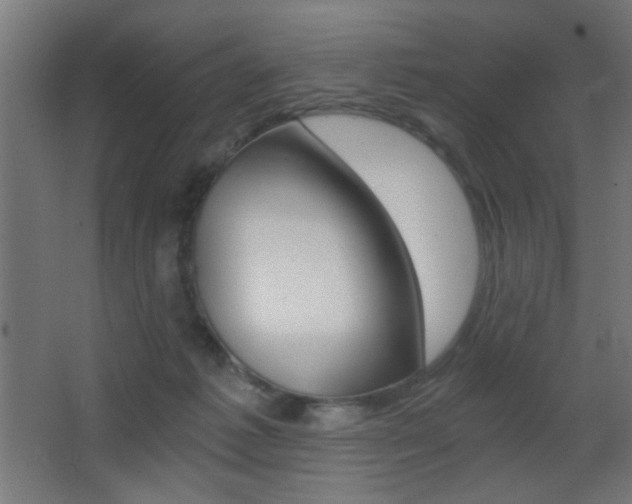 X0000068300221200604211019