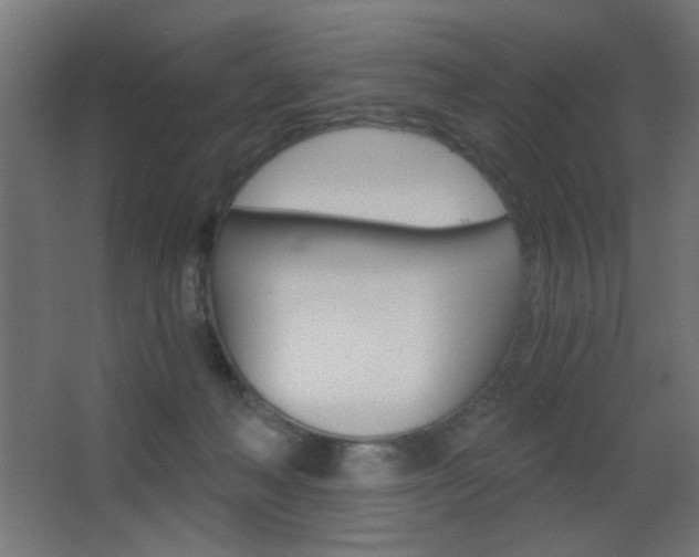 X0000068300222200604211019