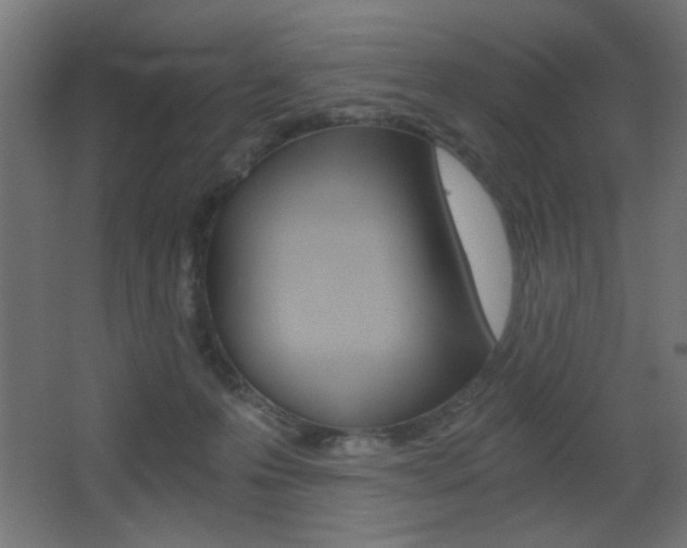X0000068300223200604211019