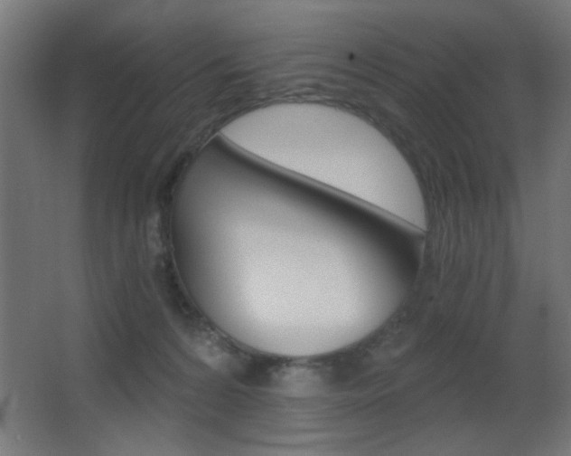 X0000068300224200604211019