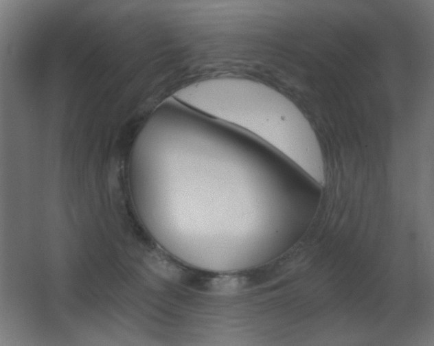 X0000068300225200604211019