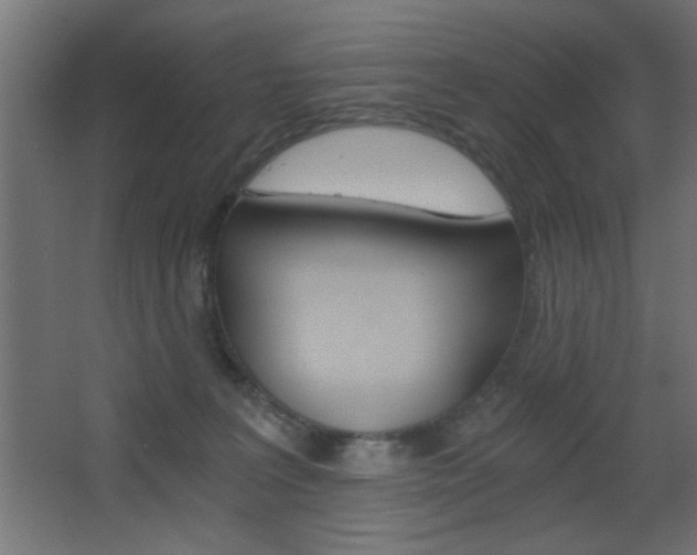 X0000068300227200604211019
