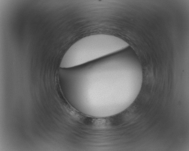 X0000068300230200604211019