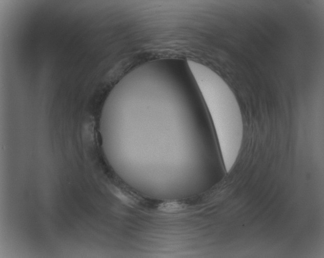 X0000068300231200604211019