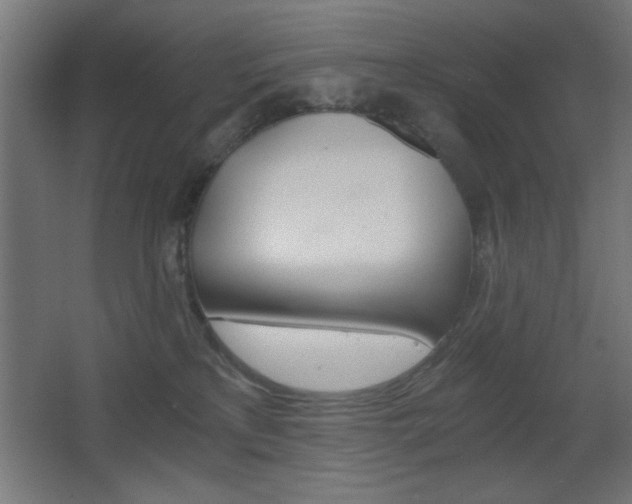 X0000068300233200604211019