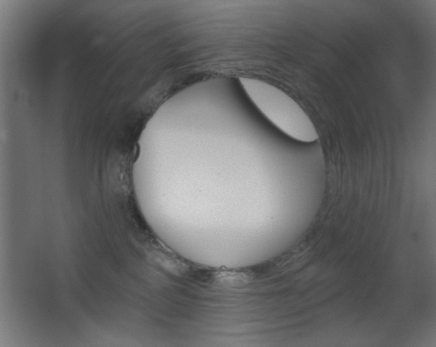 X0000068300234200604211019