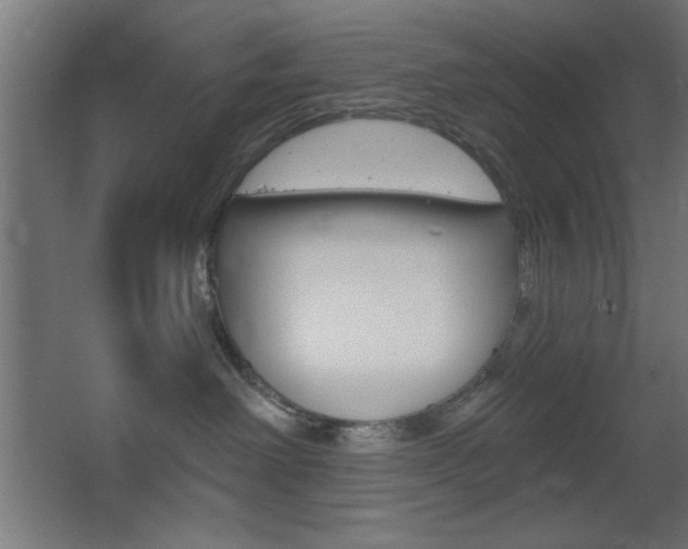 X0000068300238200604211019
