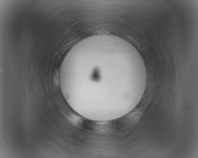 X0000068300240200604211019