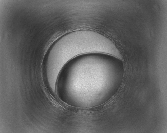 X0000068300242200604211018