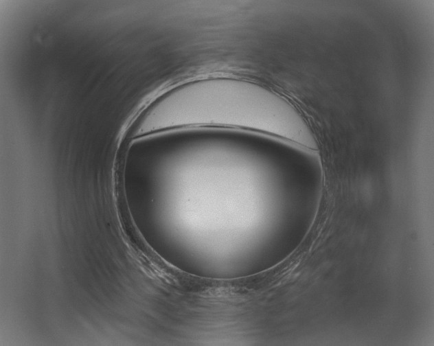 X0000068300244200604211018
