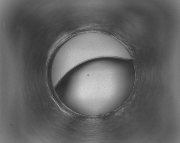 X0000068300245200604211018