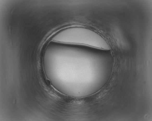 X0000068300247200604211018