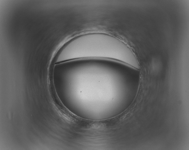 X0000068300248200604211018
