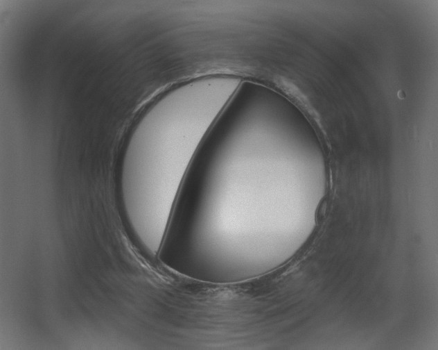 X0000068300249200604211018