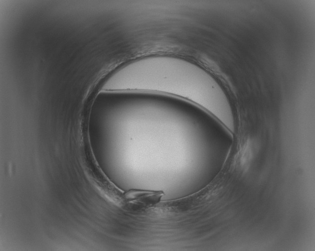 X0000068300250200604211018