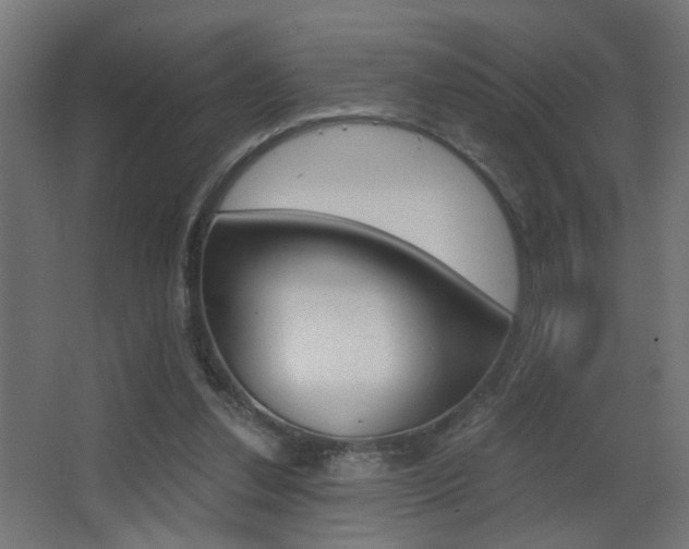 X0000068300252200604211018