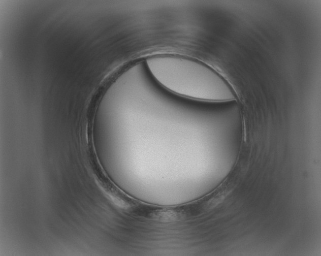 X0000068300253200604211018