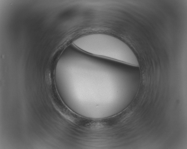 X0000068300254200604211018