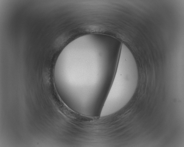 X0000068300255200604211018