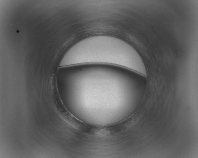 X0000068300258200604211018