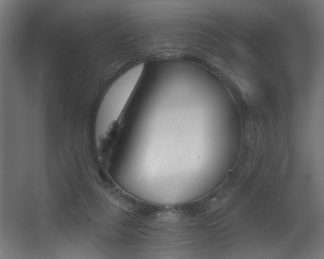 X0000068300259200604211018