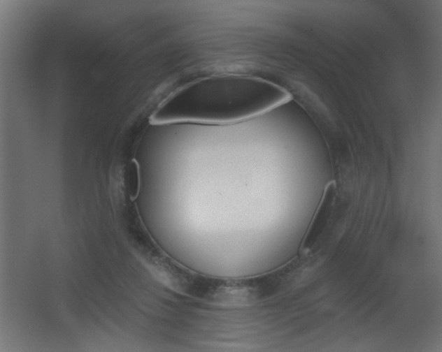 X0000068300260200604211018